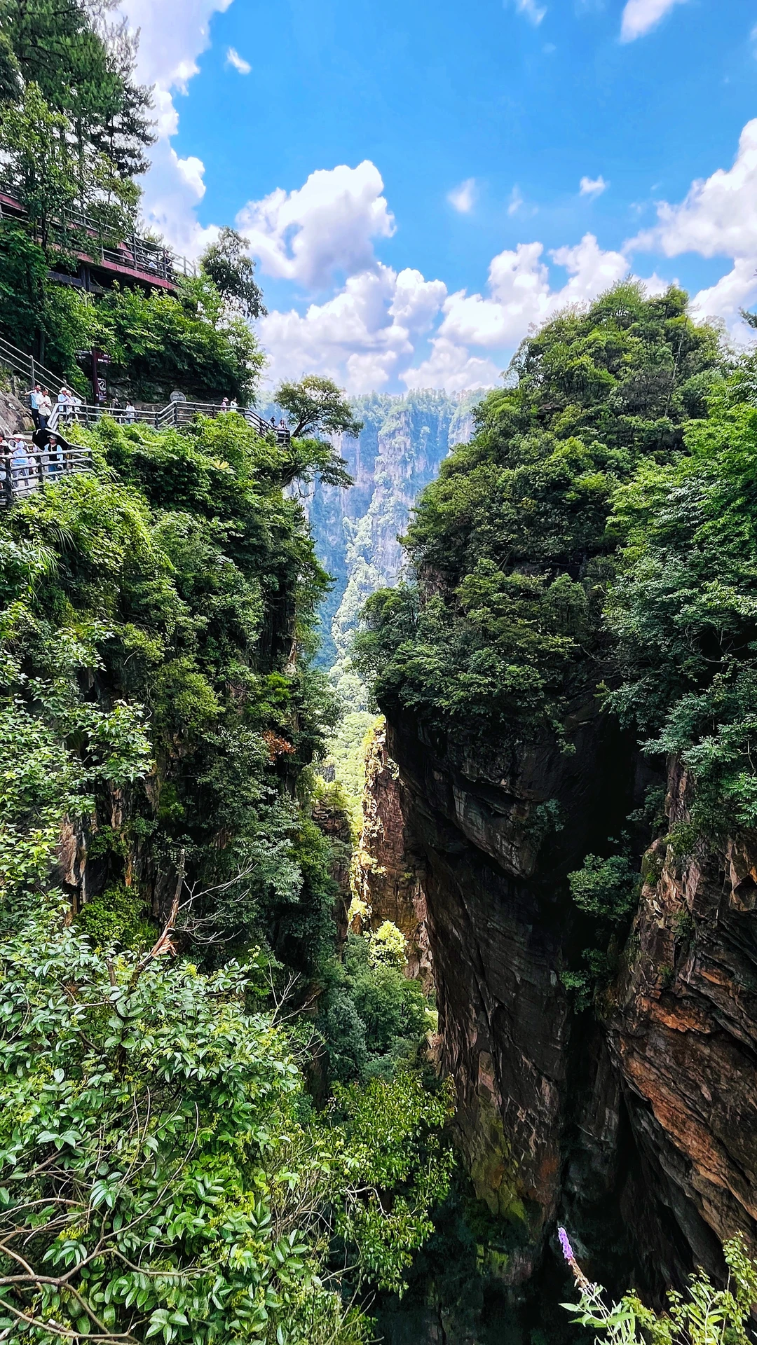 张家界|藏在仙境里的奇峰峻岭