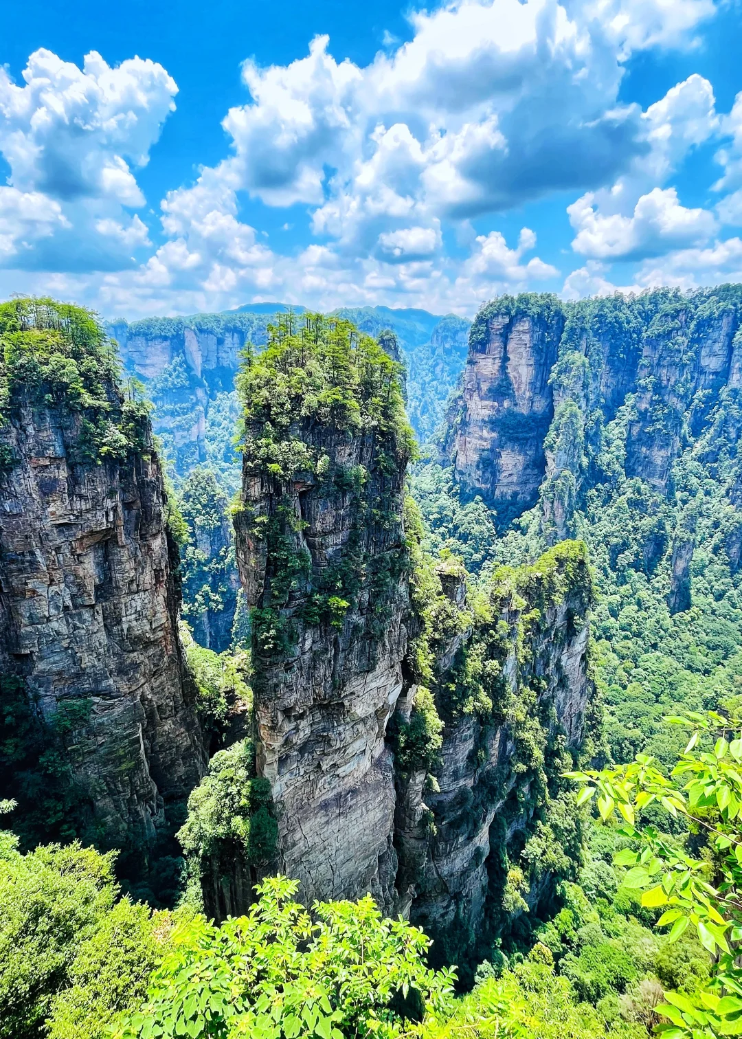 张家界|藏在仙境里的奇峰峻岭