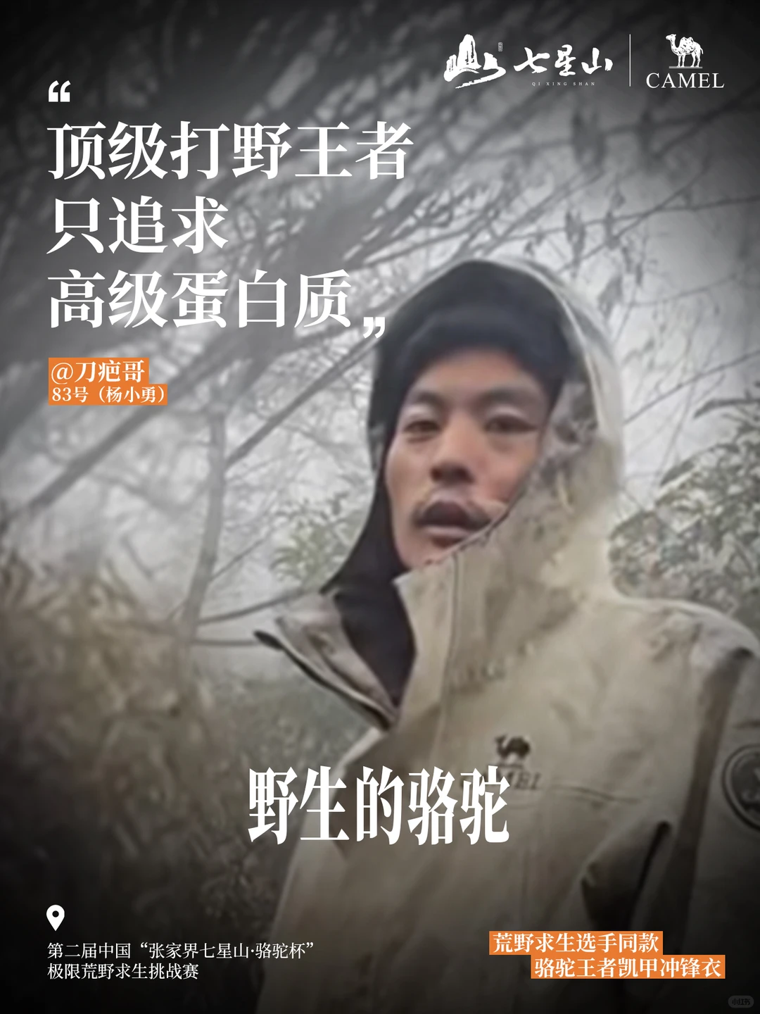 决赛将至，冠军花落谁家？