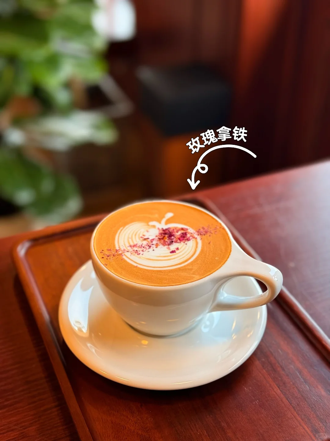 新品推荐｜玫瑰与咖啡的浪漫邂逅