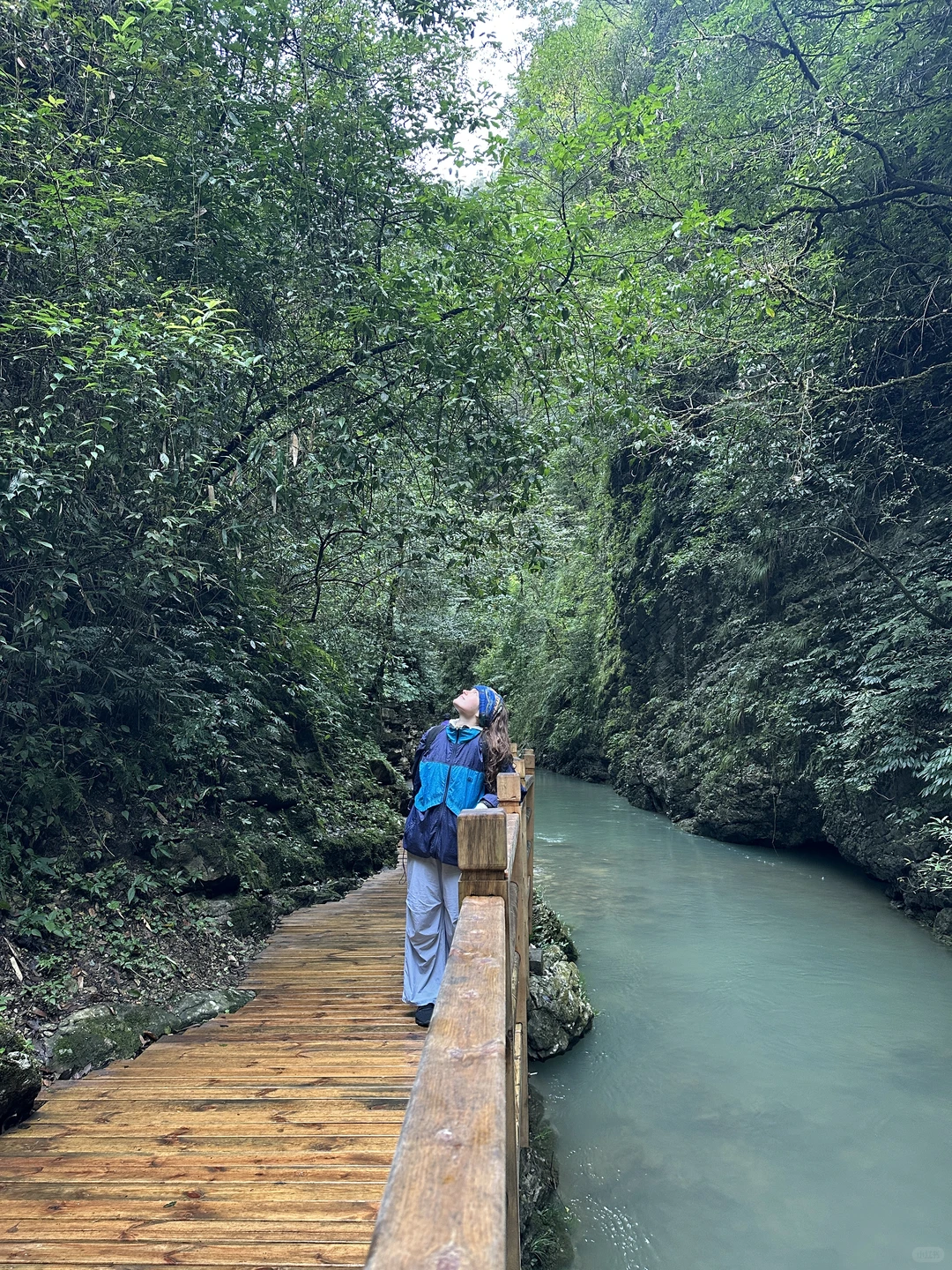 来到张家界，被挤到吵到还是能享受山的惊喜