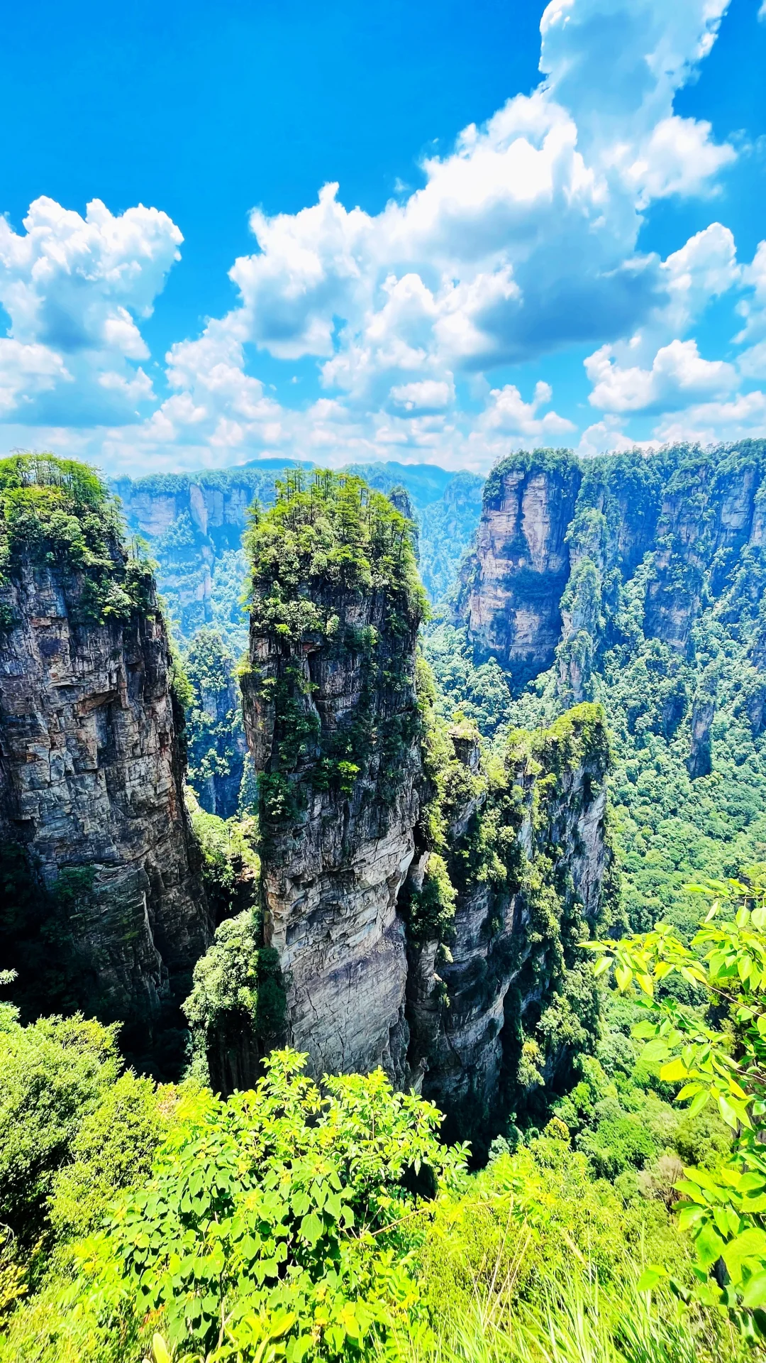 张家界|藏在仙境里的奇峰峻岭