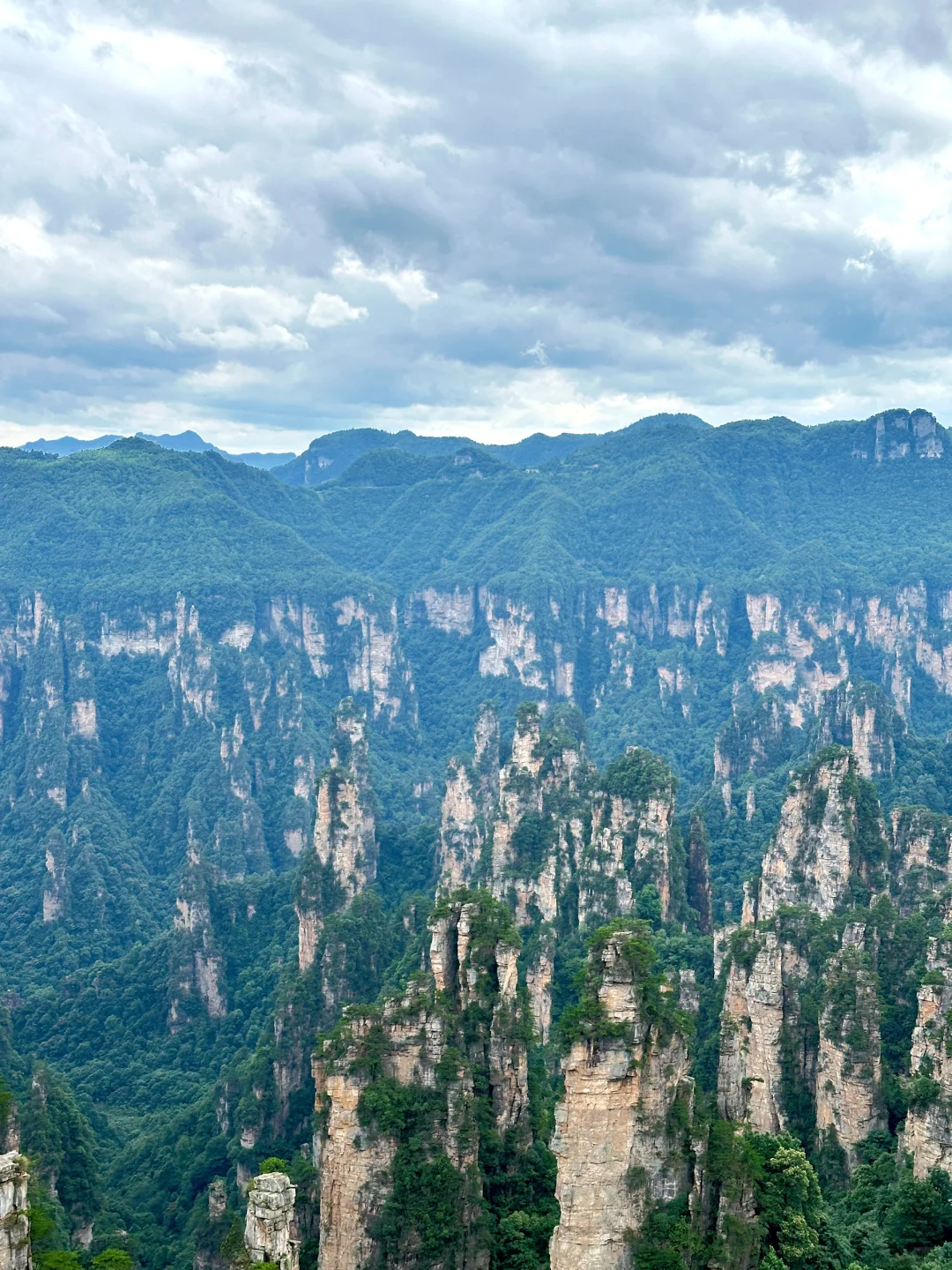 张家界森林公园保姆级攻略🏞️