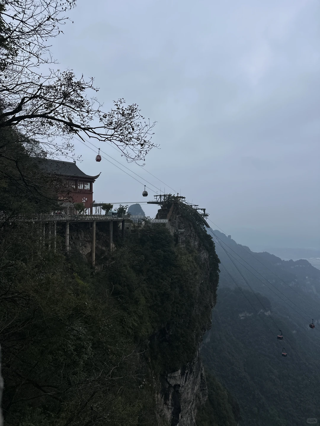 来到张家界，被挤到吵到还是能享受山的惊喜