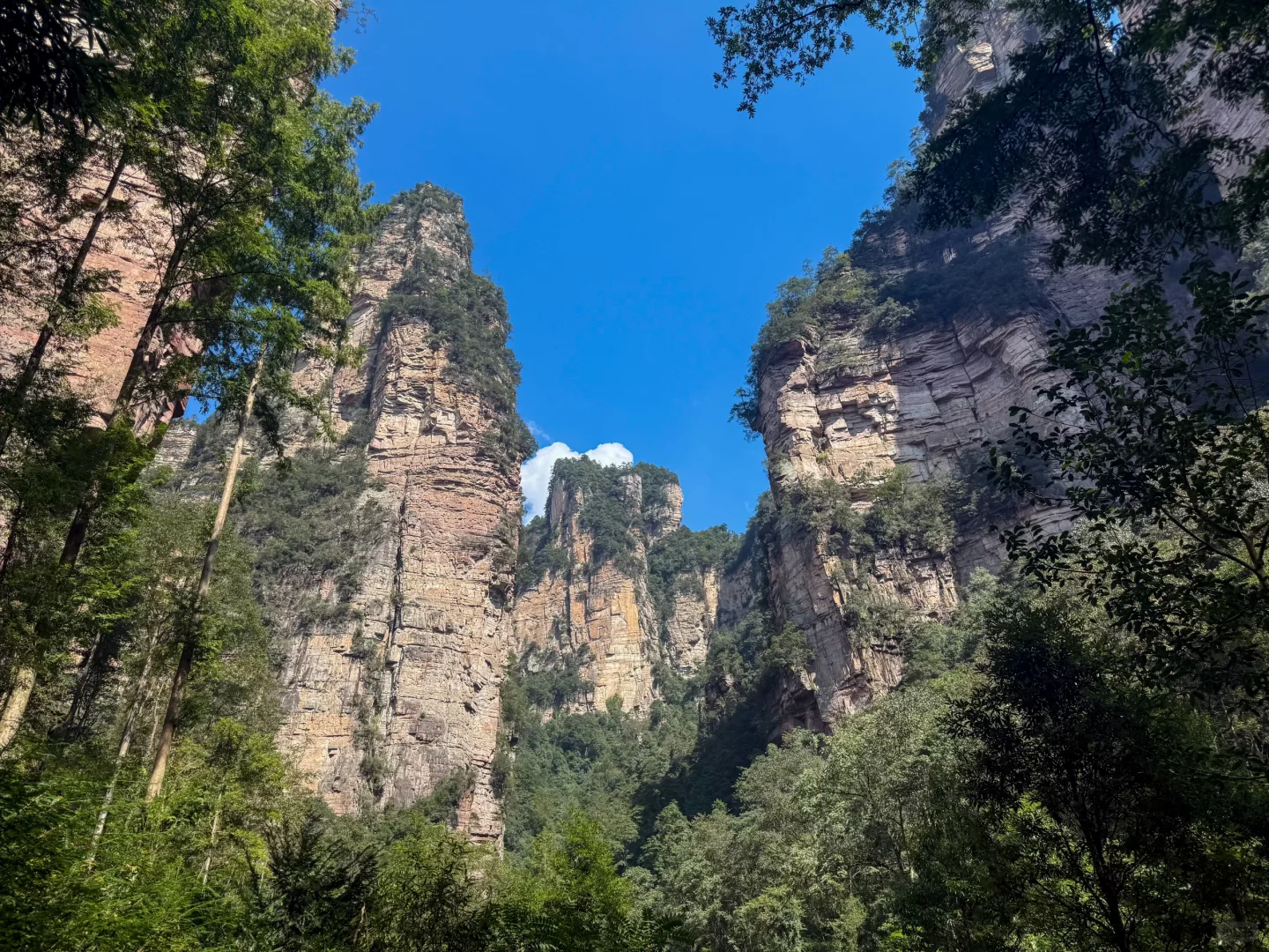 张家界国家森林公园 黄石寨徒步上下