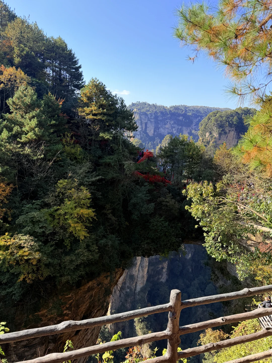 张家界国家森林公园⛰️阿凡达取景地