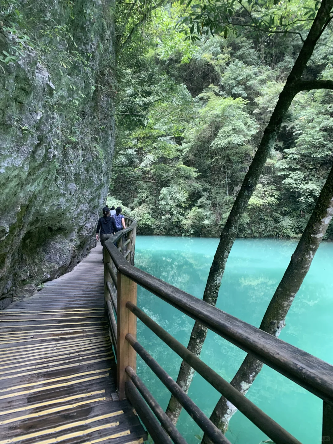 张家界大峡谷 | 神级live图
