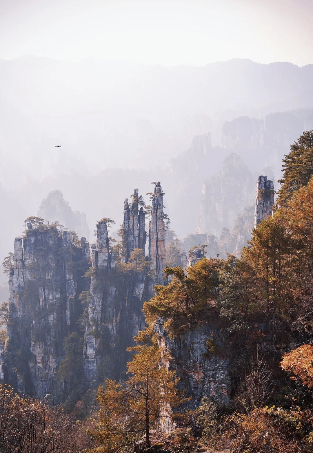 张家界的深秋绝美啊～