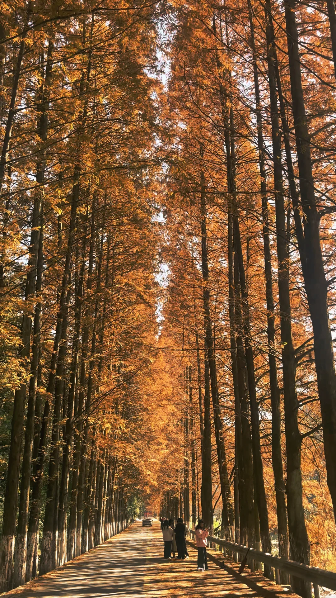 张家界的秋日限定【马头溪】～