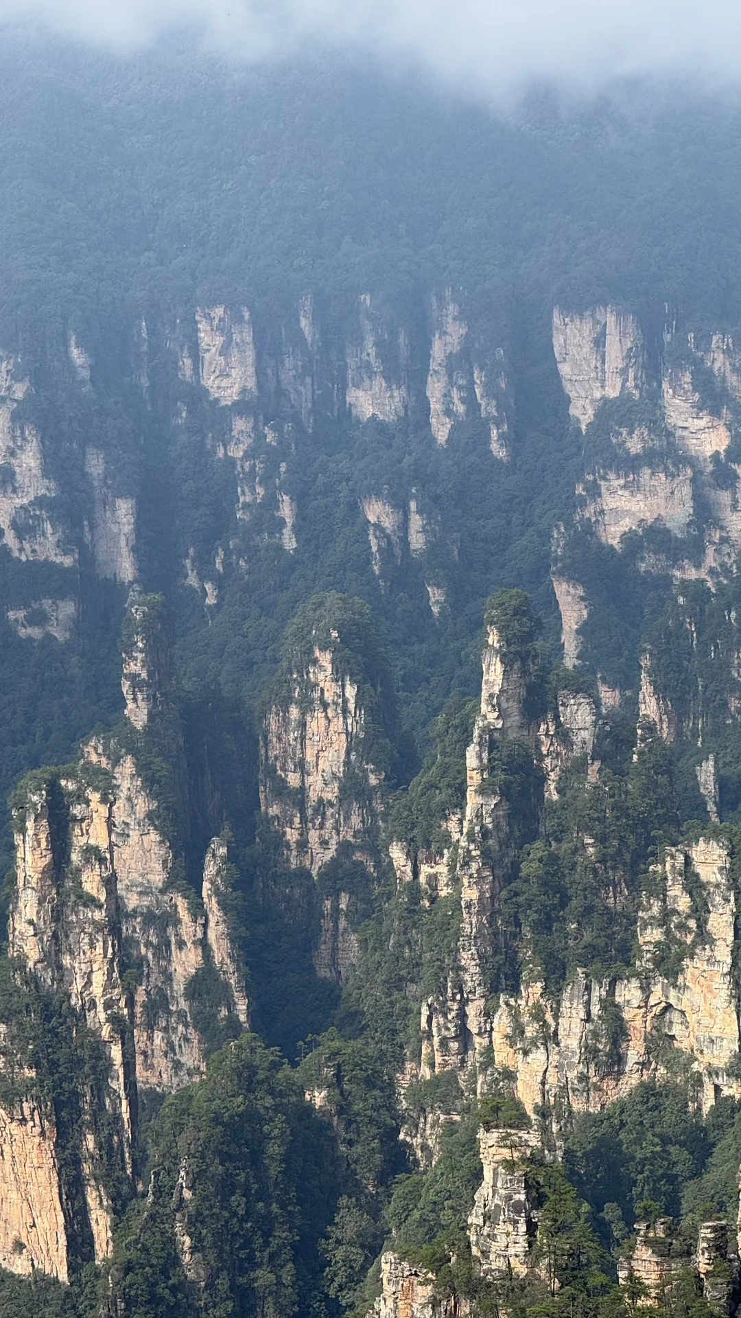 9.15实况 张家界国家森林公园