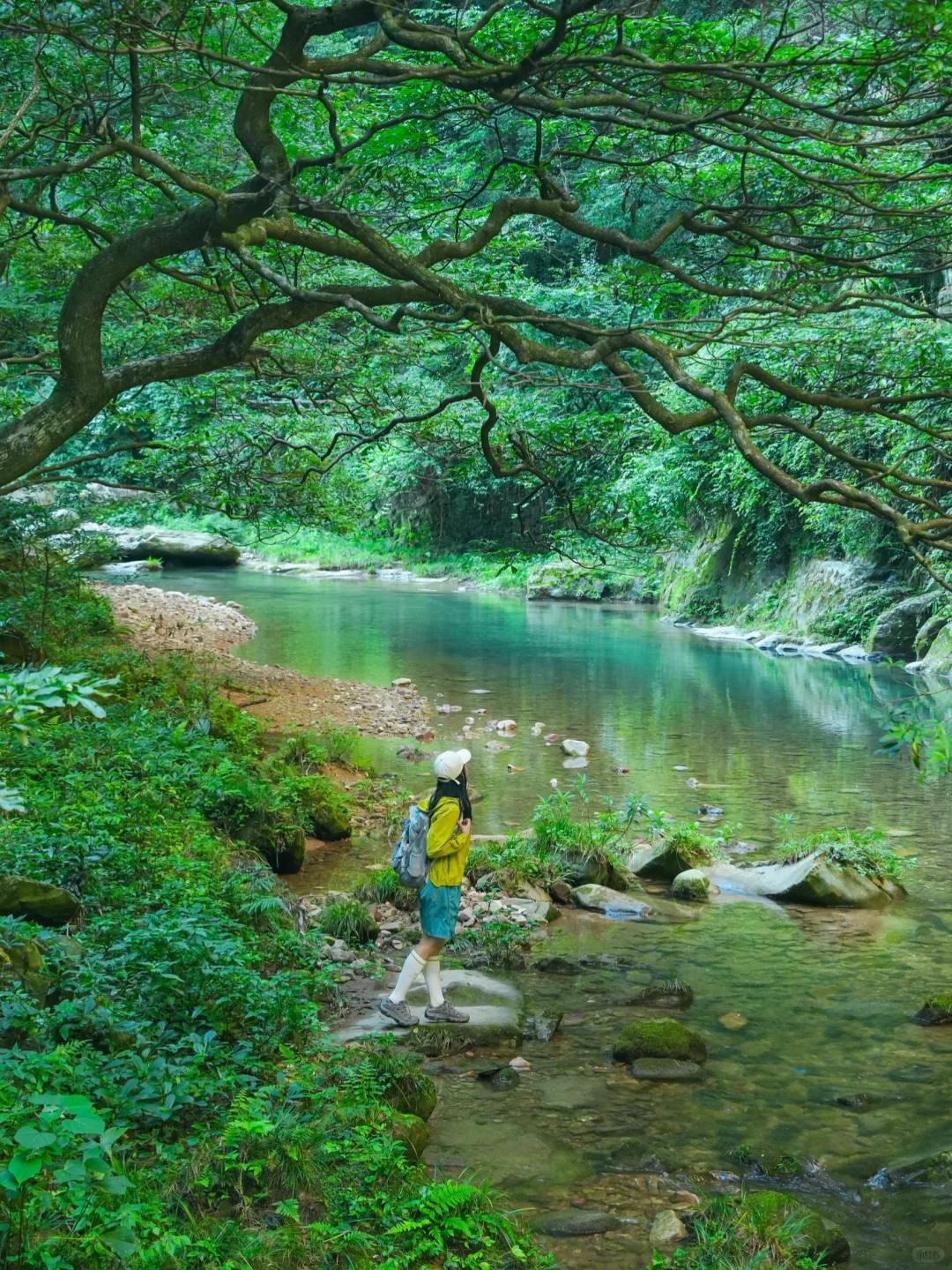 张家界4天3晚刚回！真心提醒还未出行的😓……