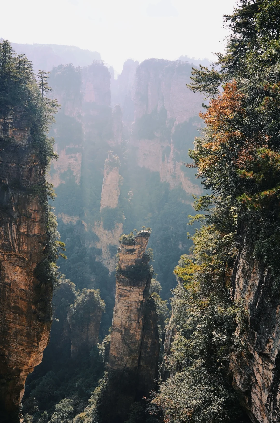 张家界的深秋绝美啊～