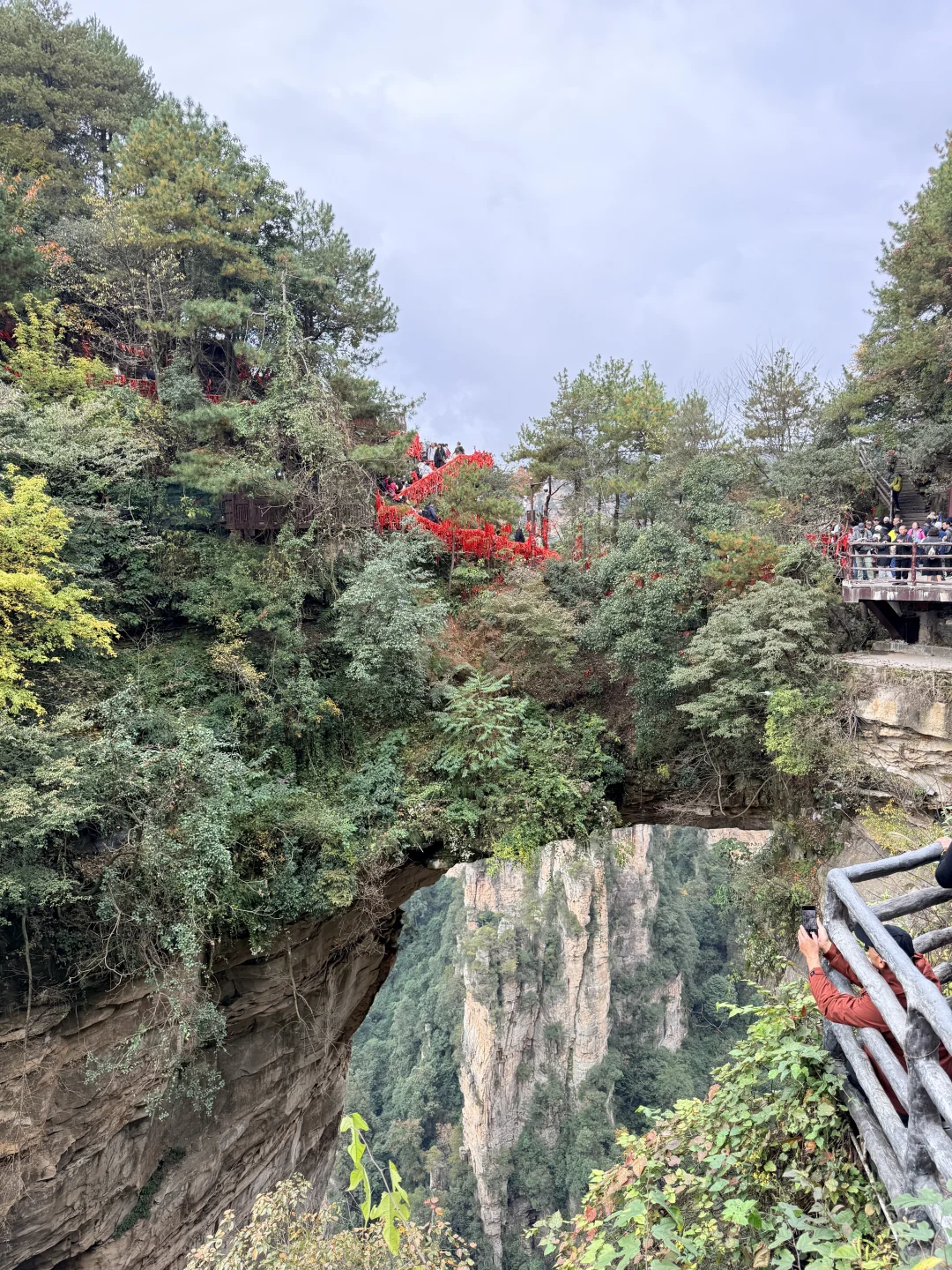 11.11的张家界森林公园