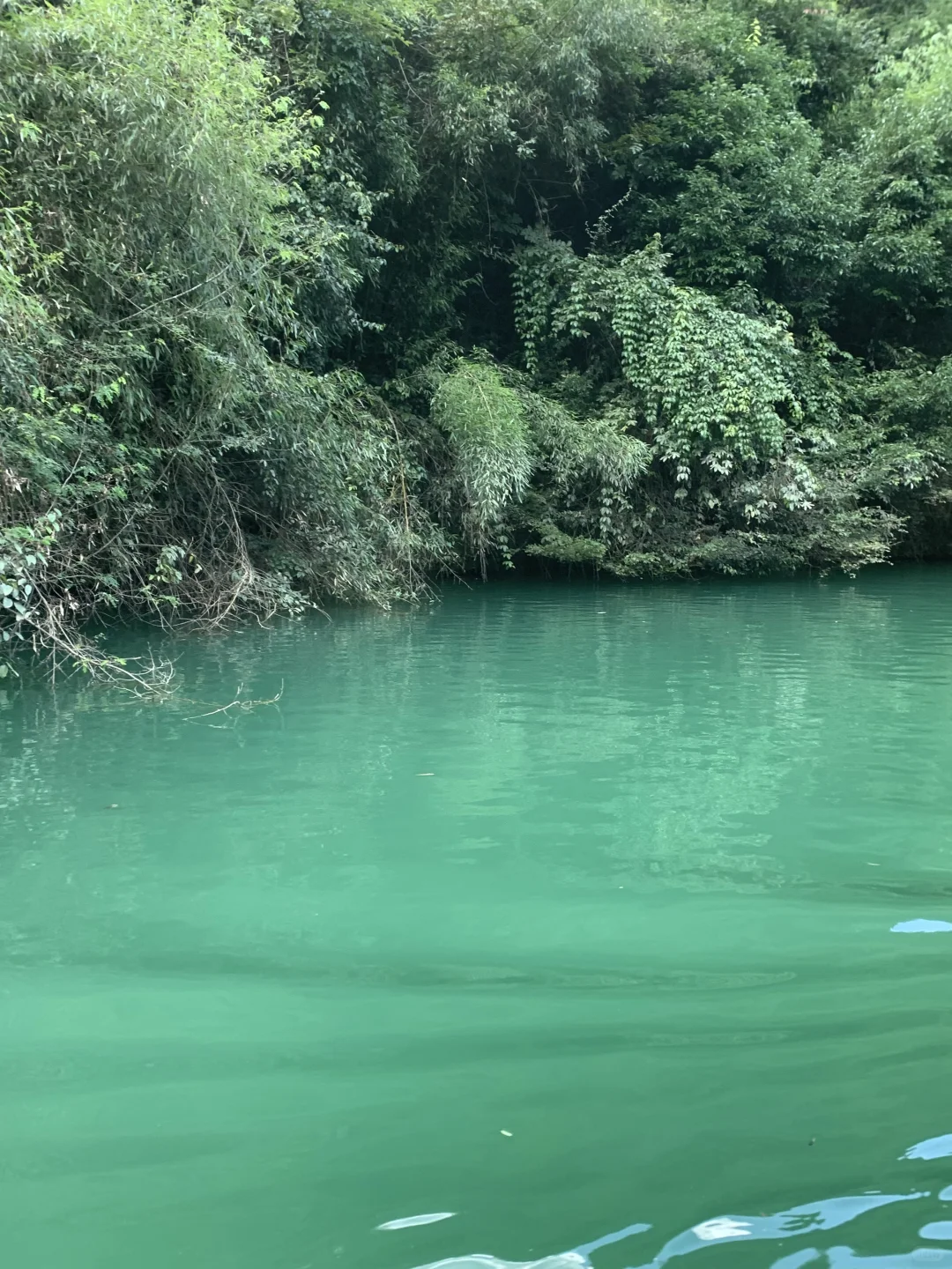 张家界大峡谷 | 神级live图