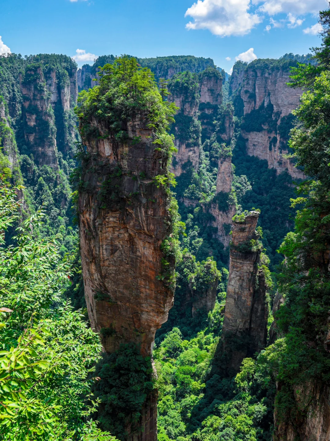 张家界4天3晚刚回！真心提醒还未出行的😓……
