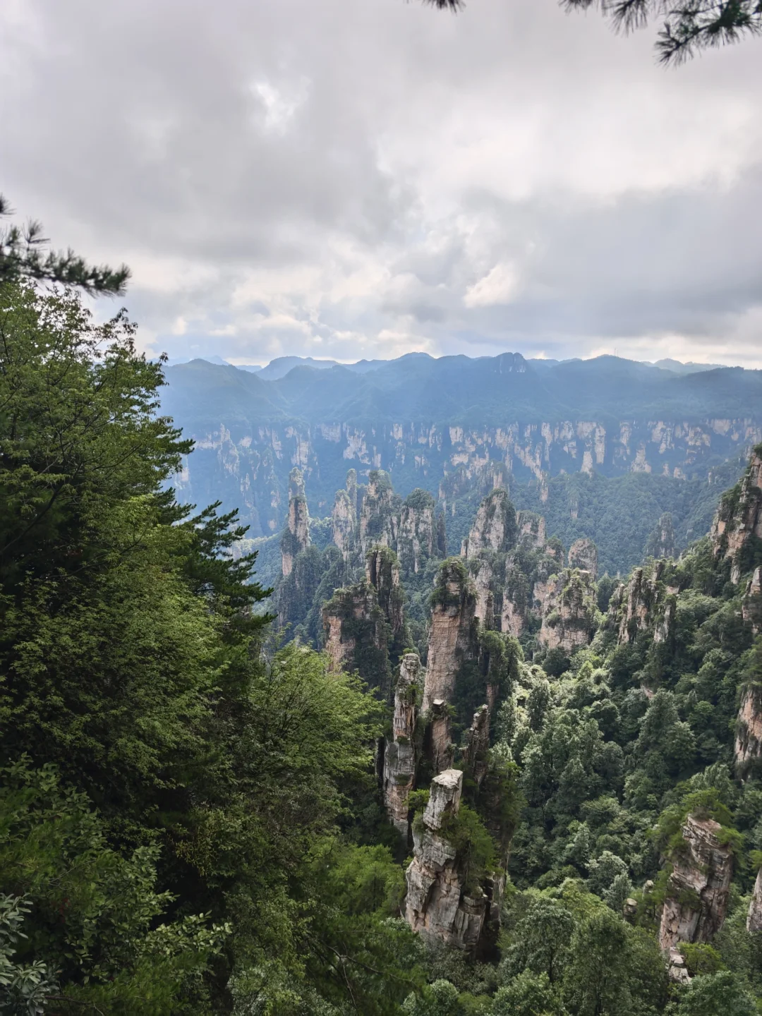 两日游玩张家界森林公园，反向拒绝人堵人