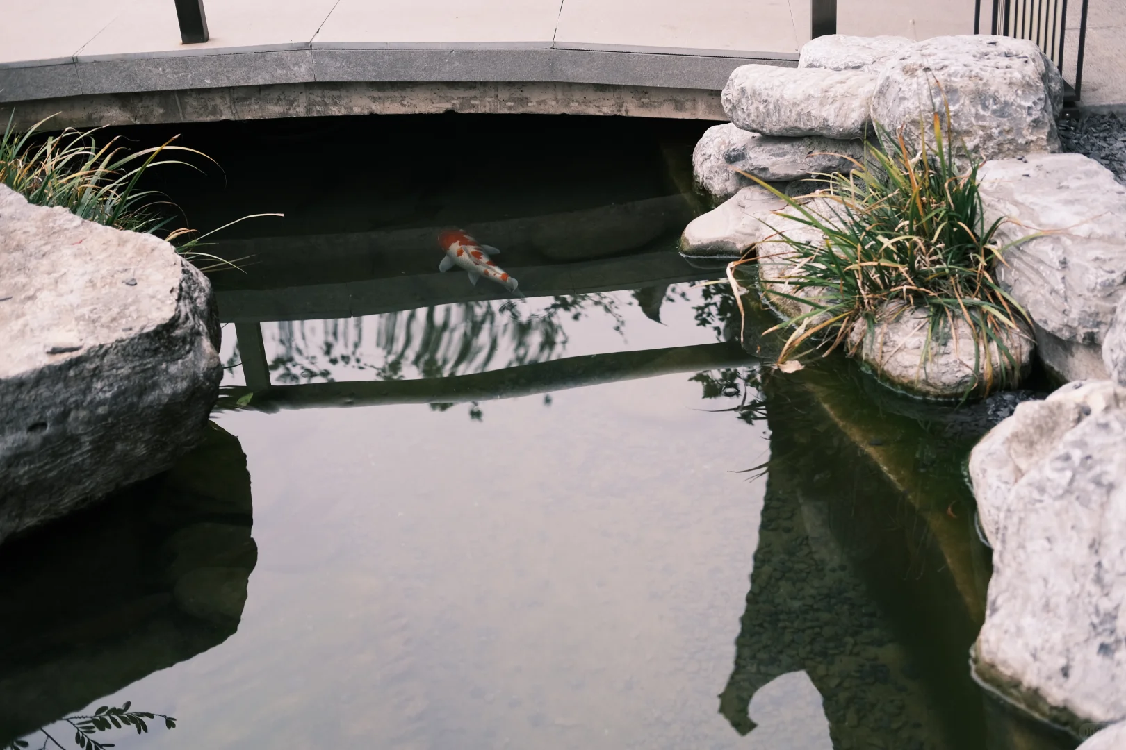 小小郭也太可爱了叭