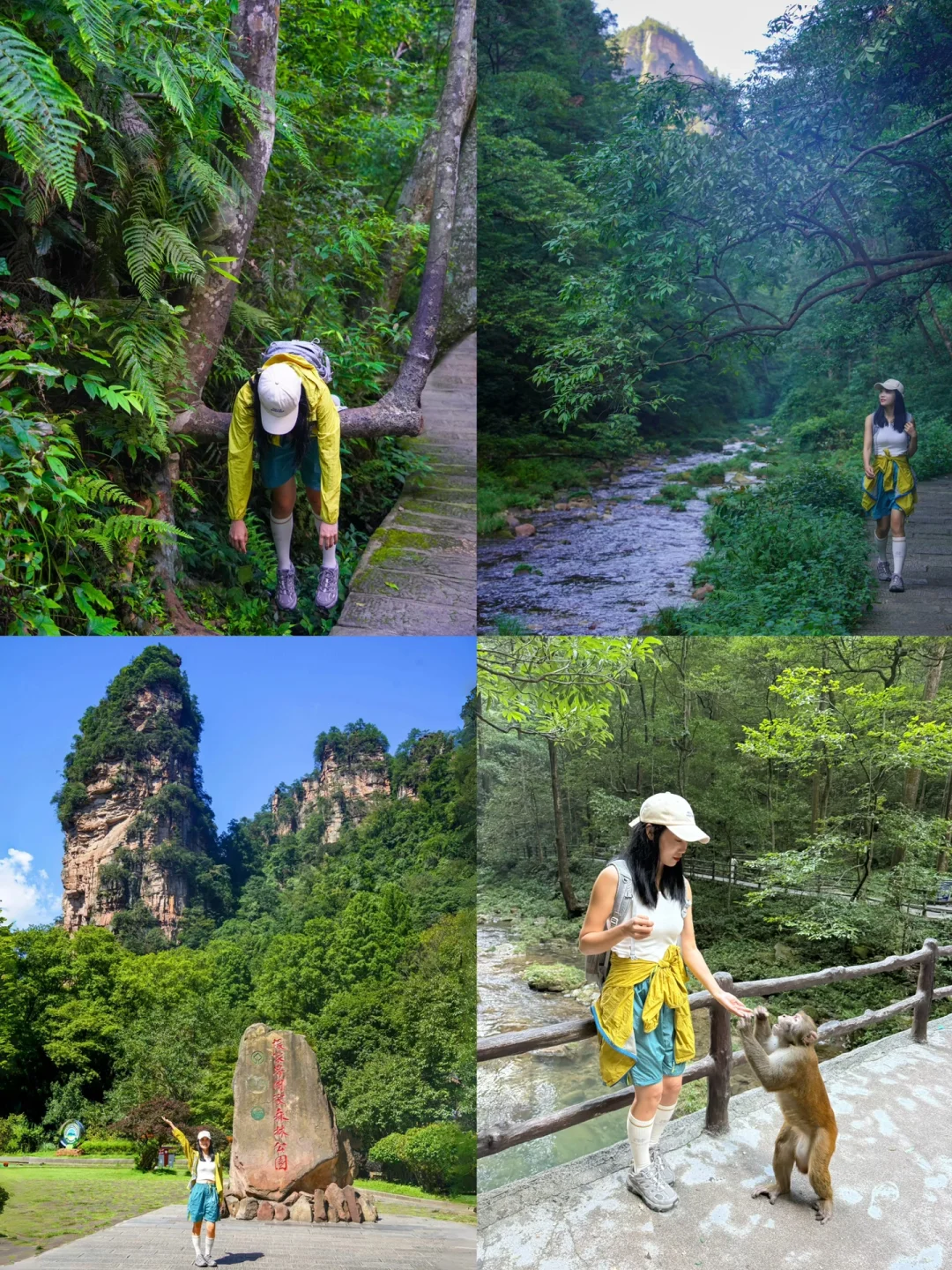 张家界4天3晚刚回！真心提醒还未出行的😓……