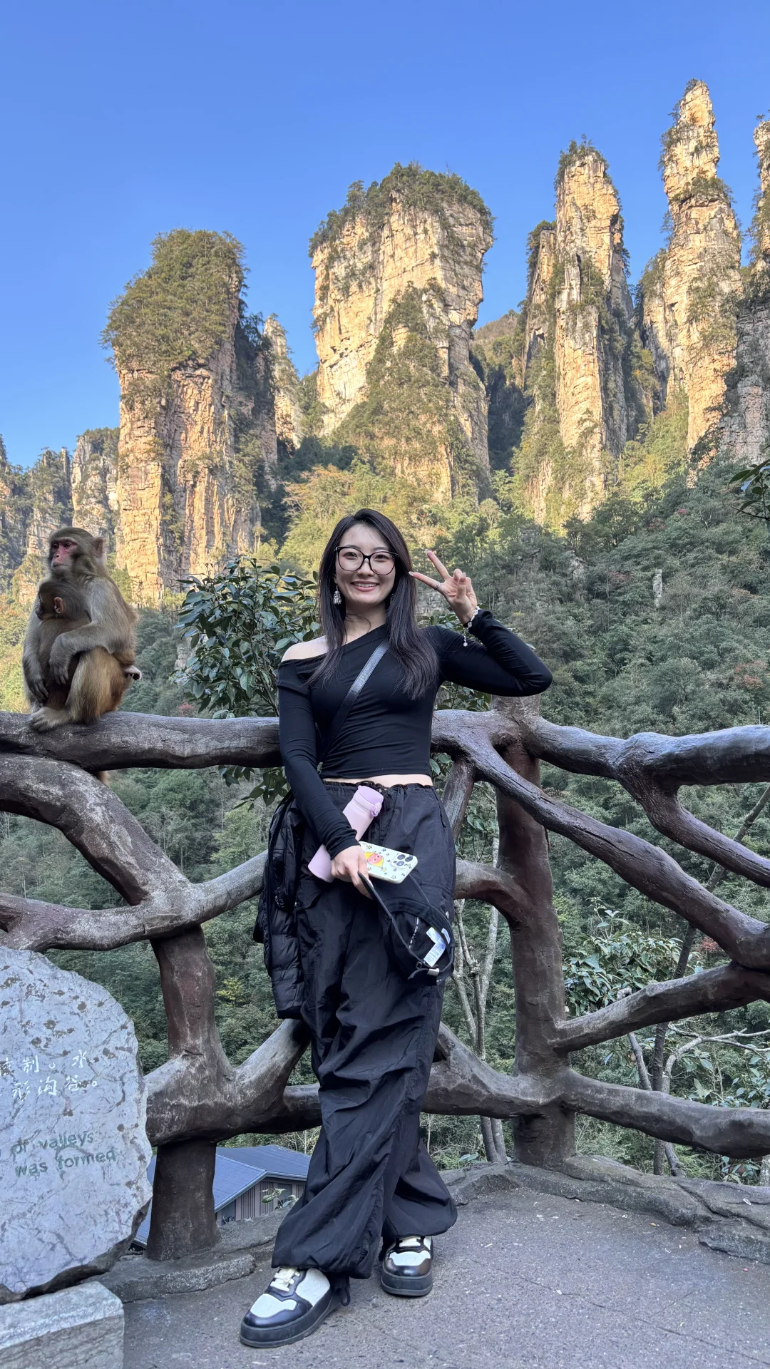 张家界山里好多猴🐒