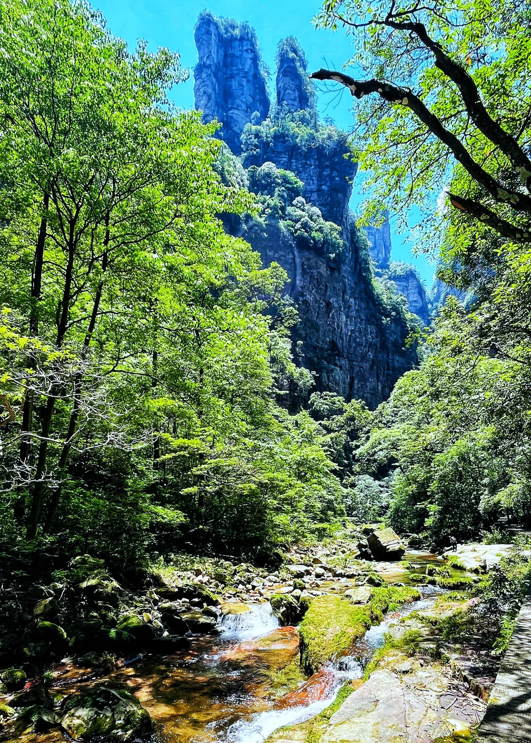 张家界|藏在仙境里的奇峰峻岭