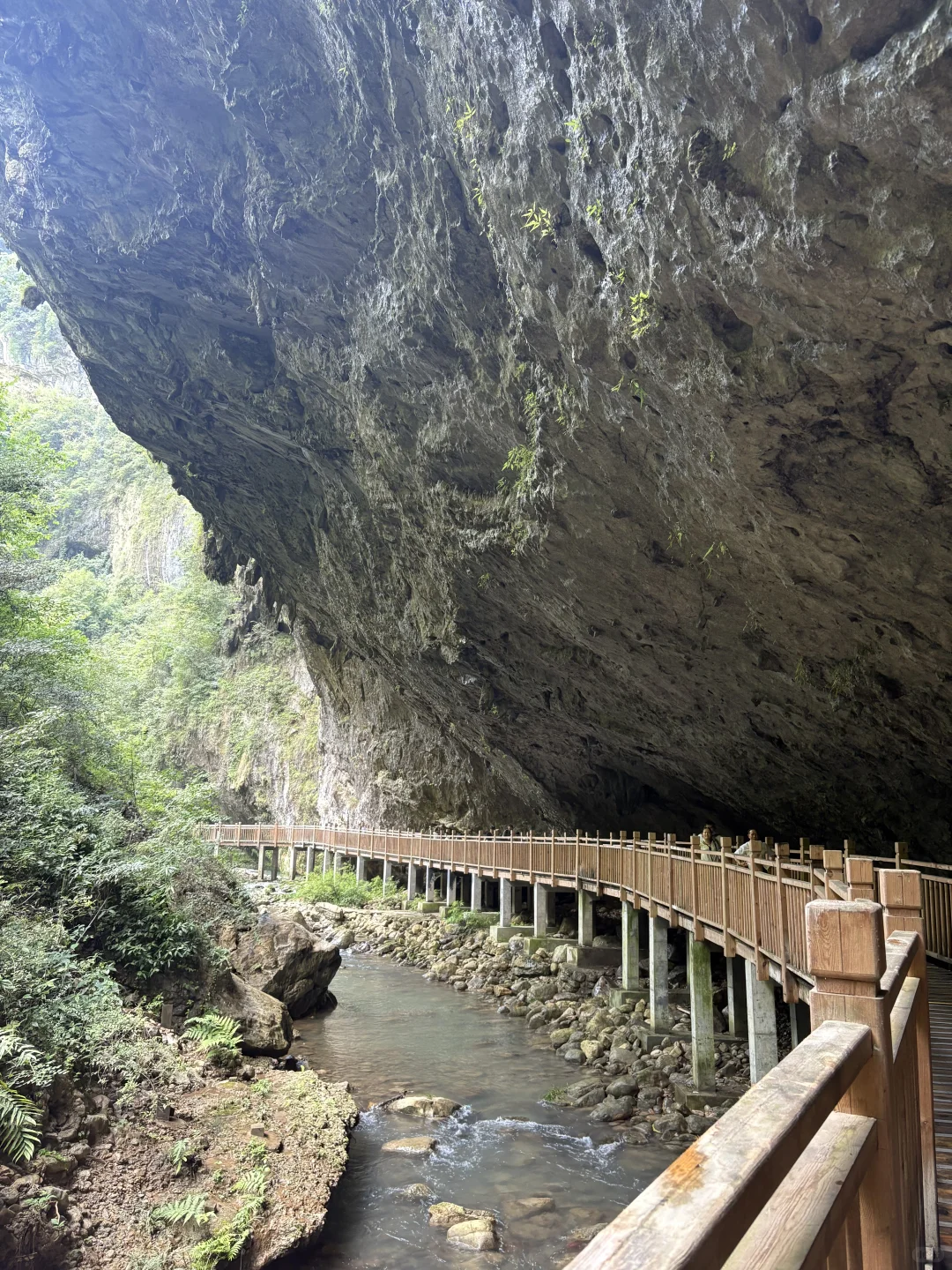 2025暑期游－张家界大峡谷