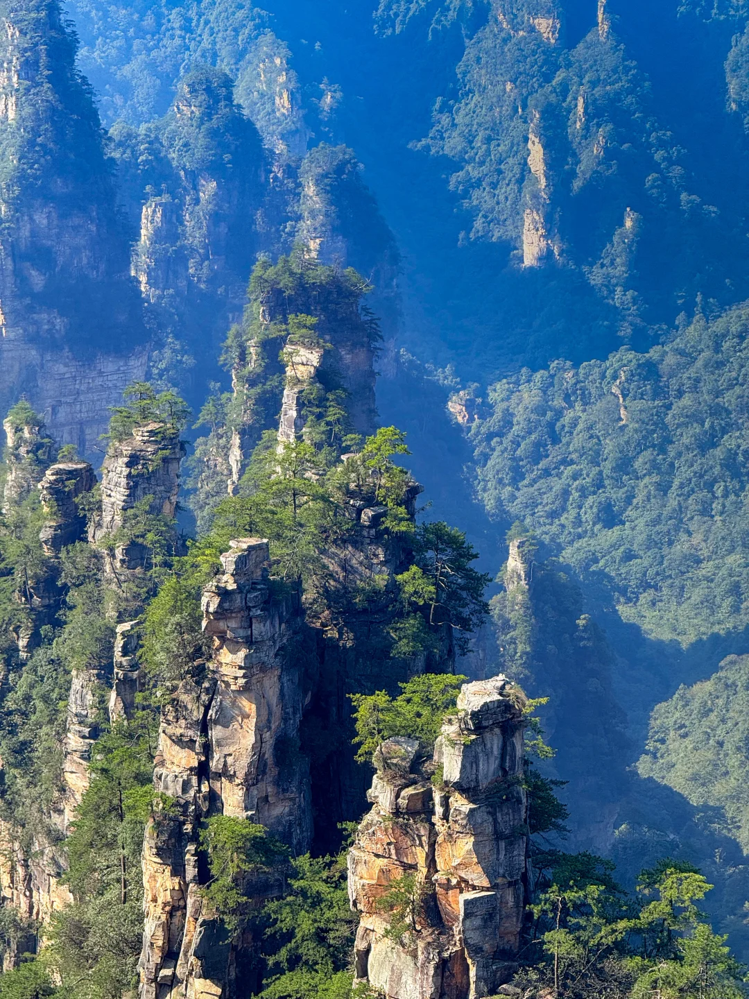 张家界国家森林公园 黄石寨徒步上下