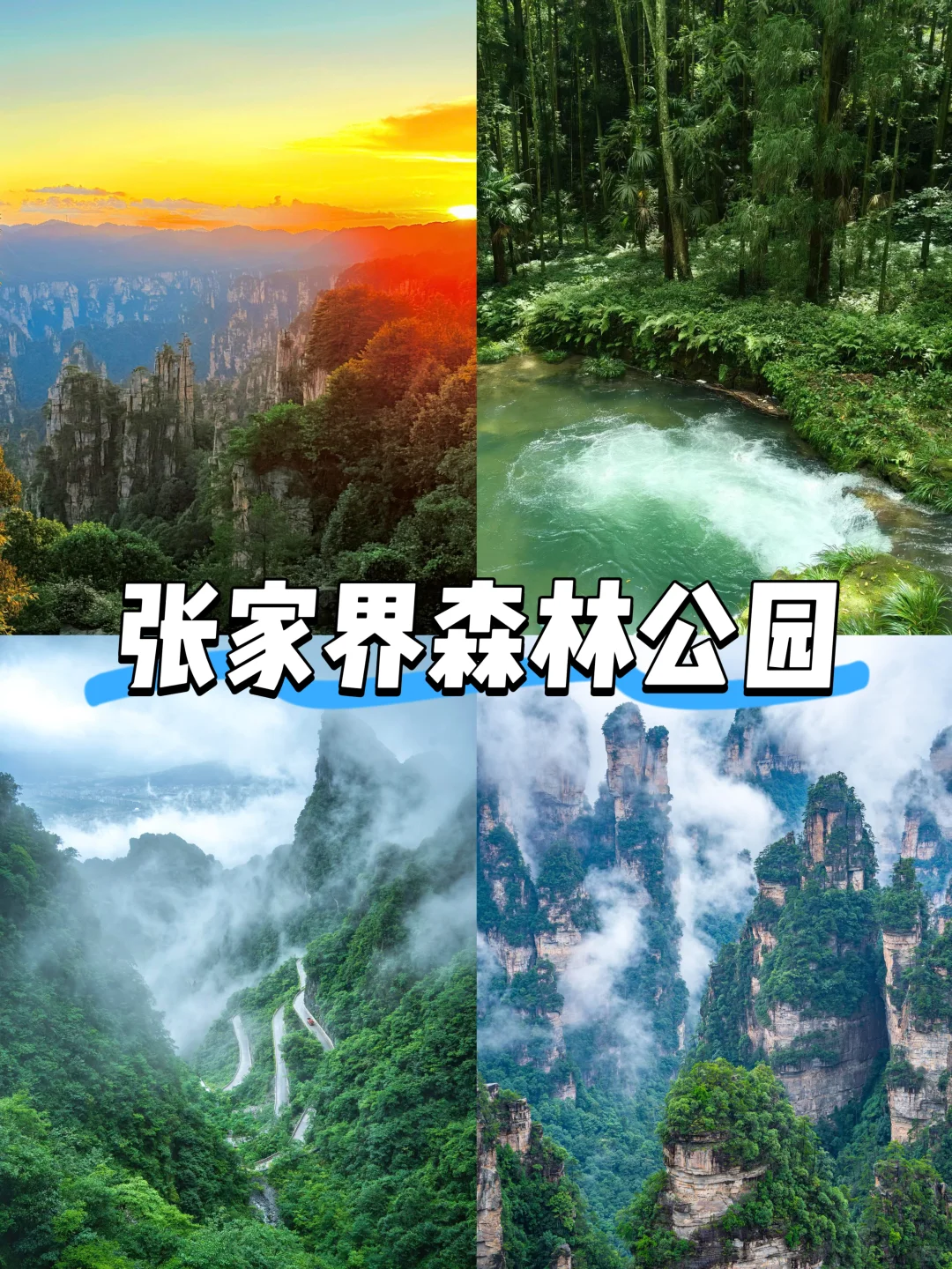 【湖南篇-张家界】“奇峰云海和湘西秘境”