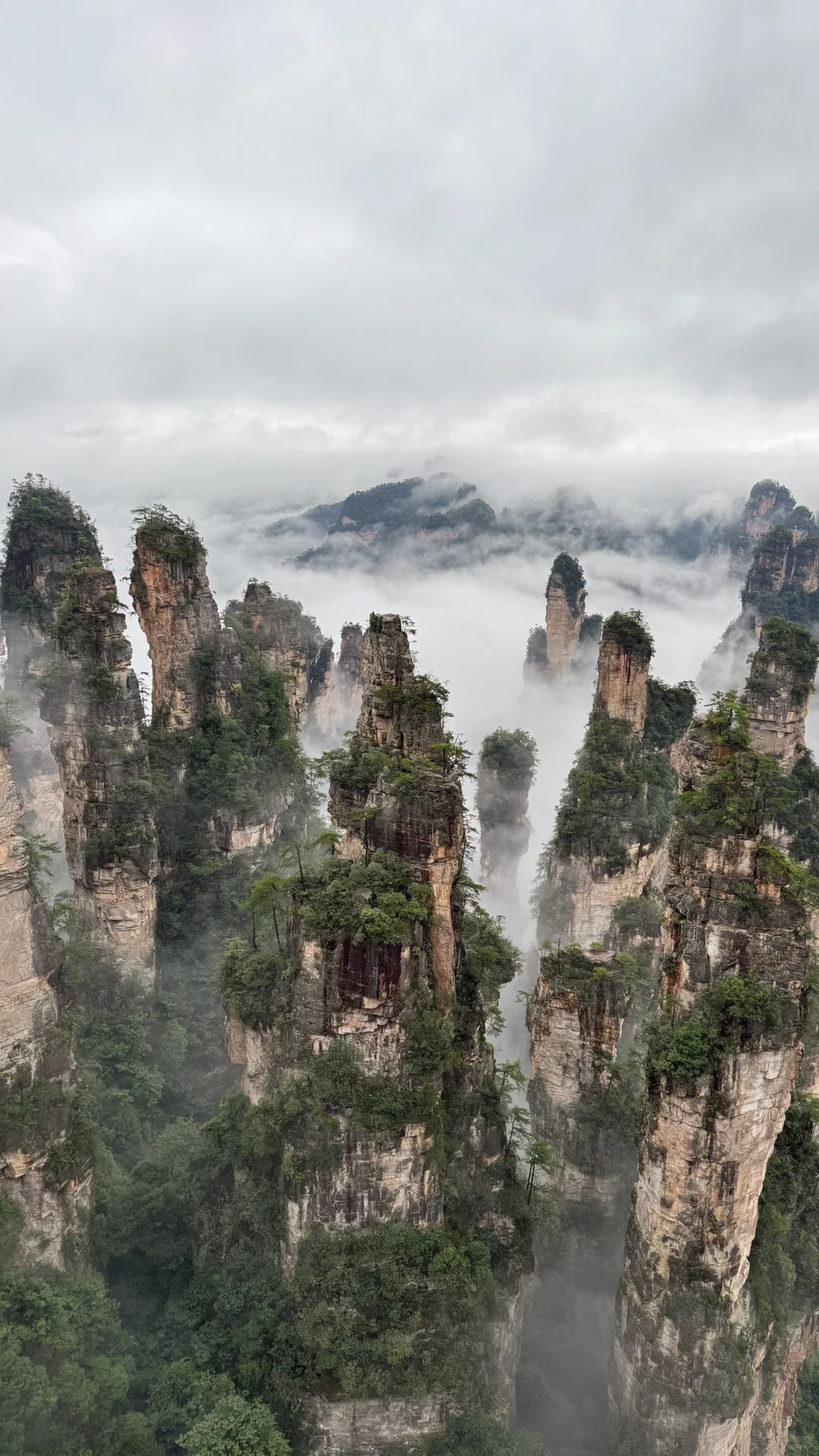 9.15实况 张家界国家森林公园