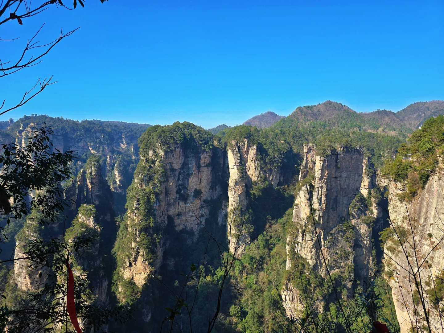 12.6日张家界国家森林公园实况