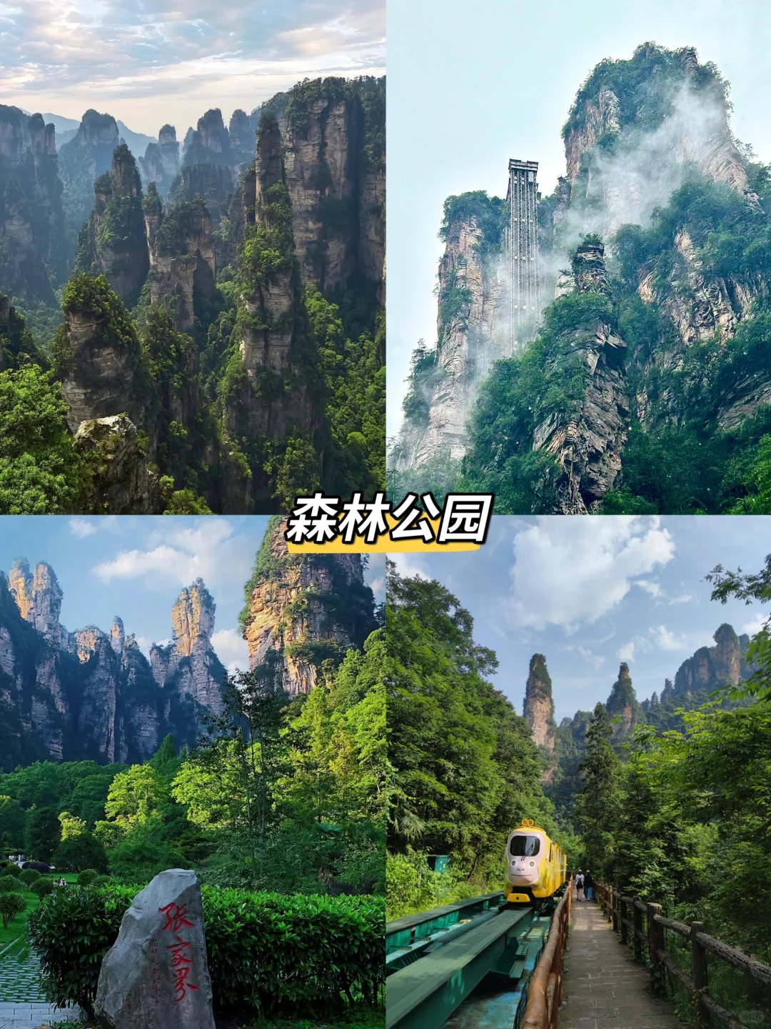 张家界旅游✅保证天门山走A线不排队随时走