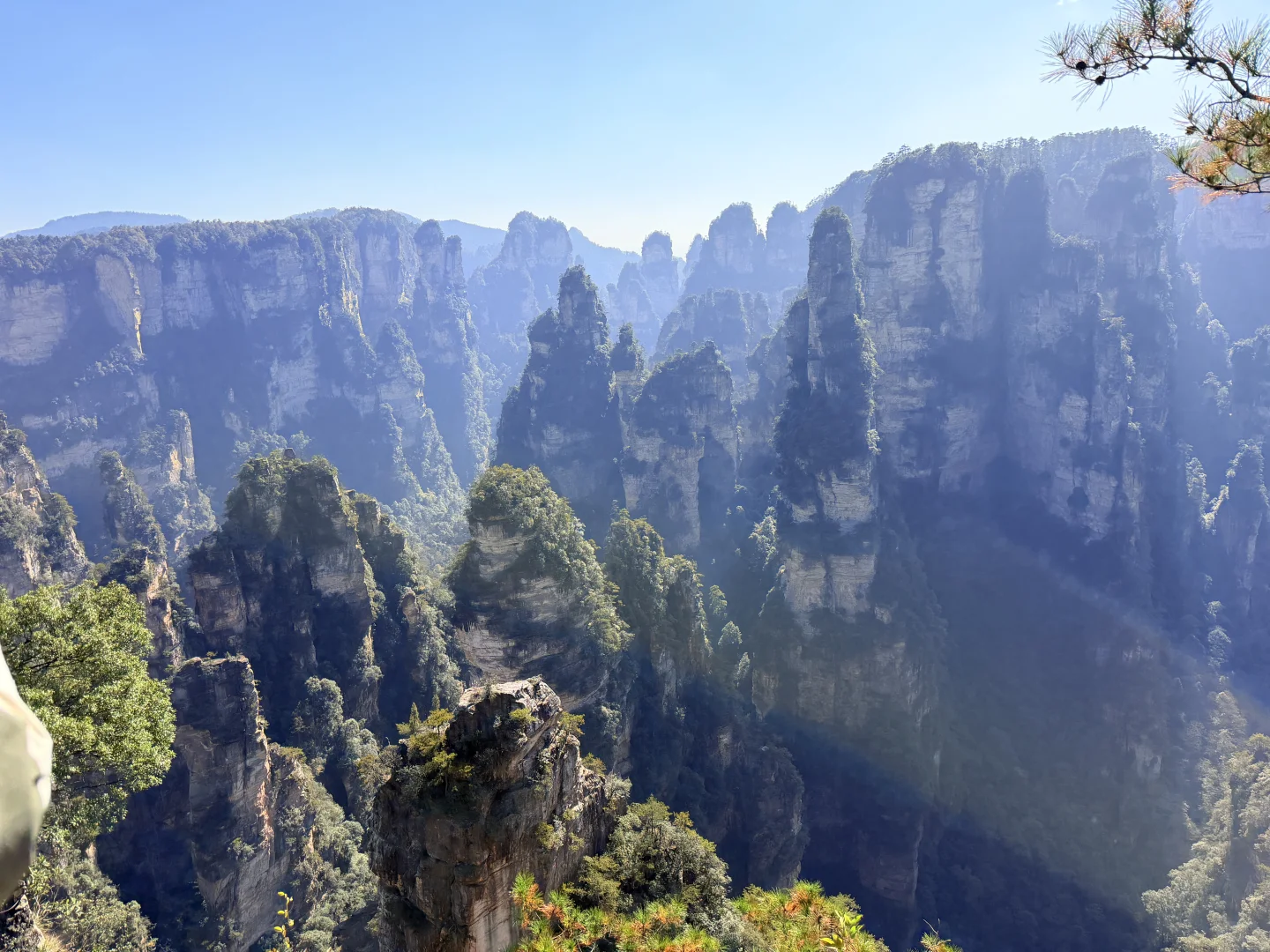 张家界国家森林公园⛰️阿凡达取景地