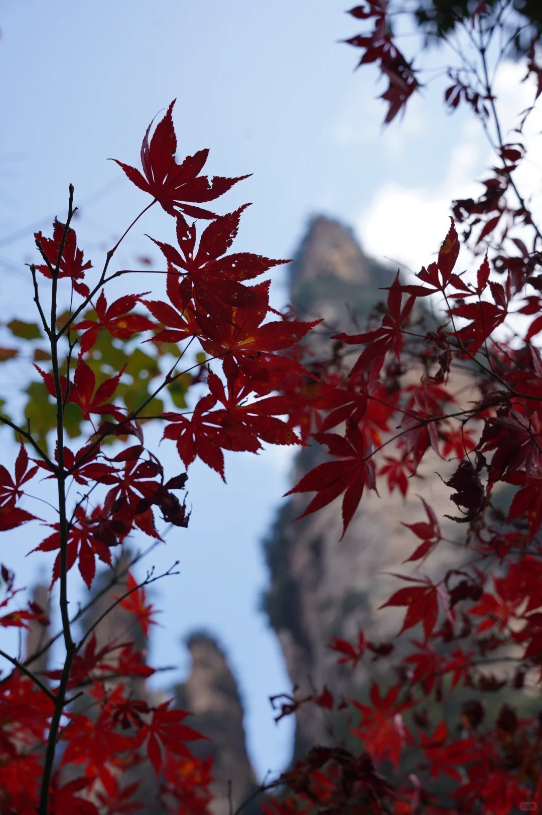 张家界的深秋绝美啊～