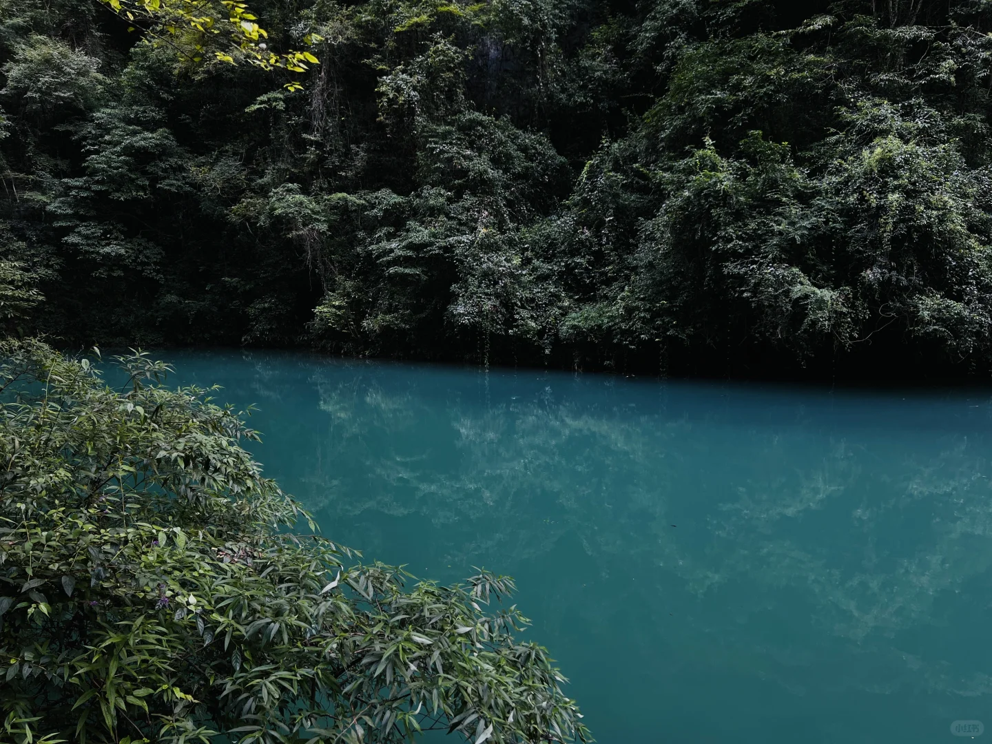 🌿张家界大峡谷｜被低估的治愈系秘境🫧