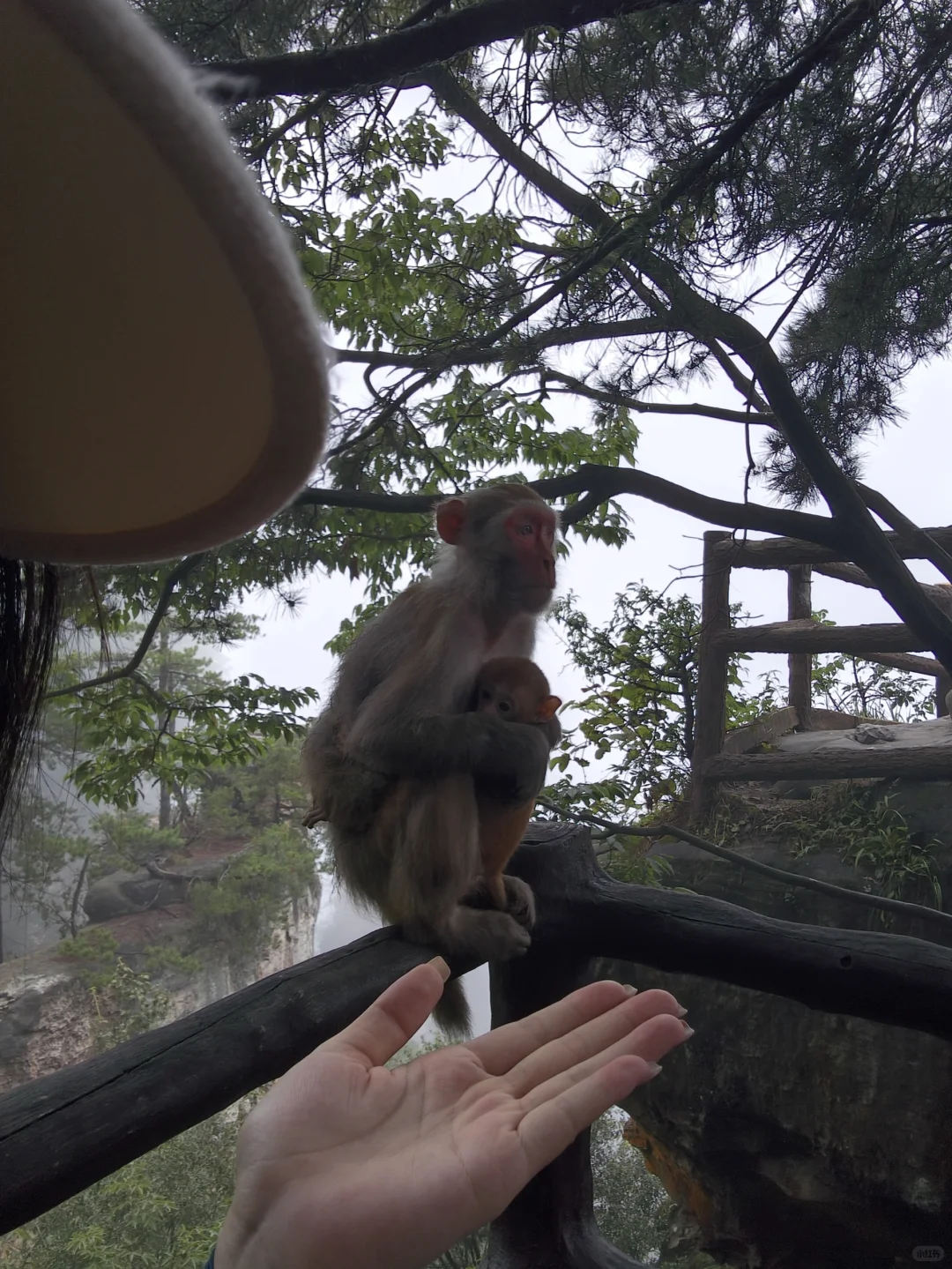 两日游玩张家界森林公园，反向拒绝人堵人