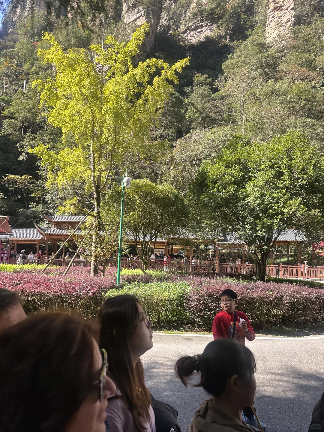 11.13 张家界百龙天梯别来了 劝退 劝退