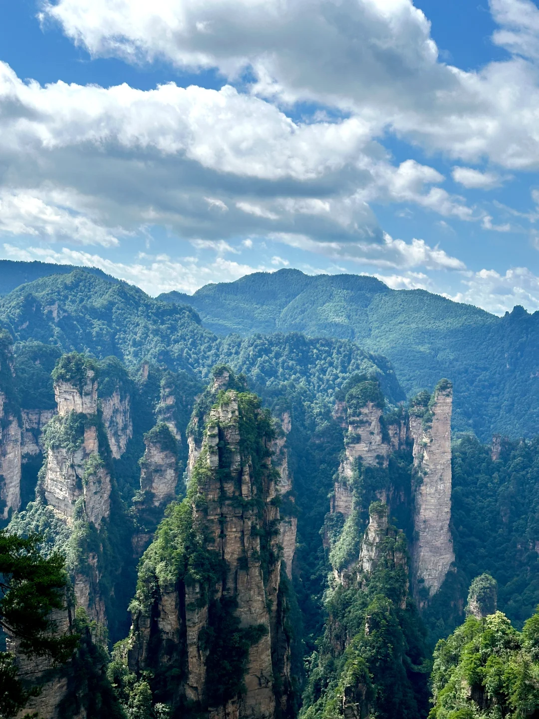 张家界森林公园保姆级攻略🏞️