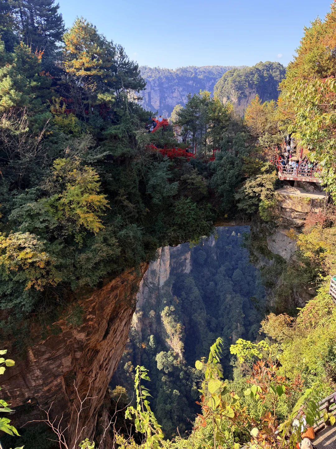 张家界国家森林公园⛰️阿凡达取景地