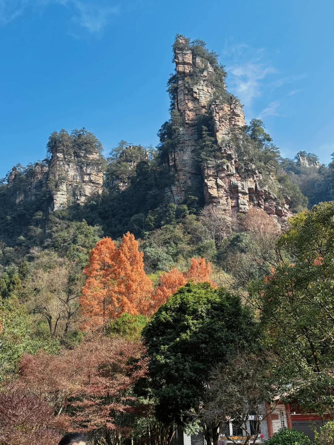 张家界 这样做不被猴抓！
