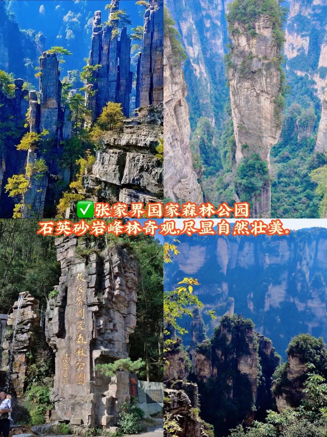 大学生特种兵！极速24h张家界吃喝玩乐🏃