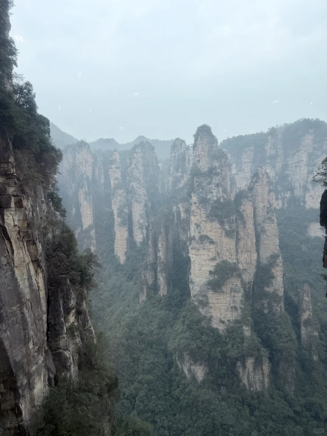 不识庐山真面目，原来是在张家界
