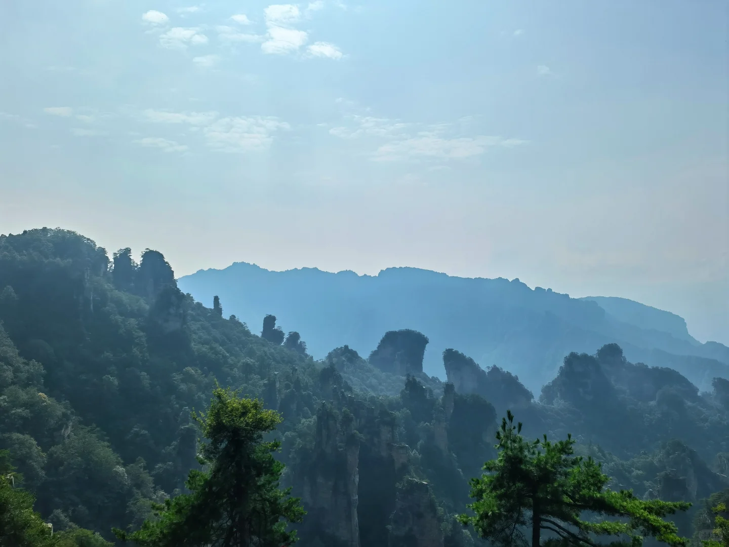 张家界已回，猛猛避雷！！！