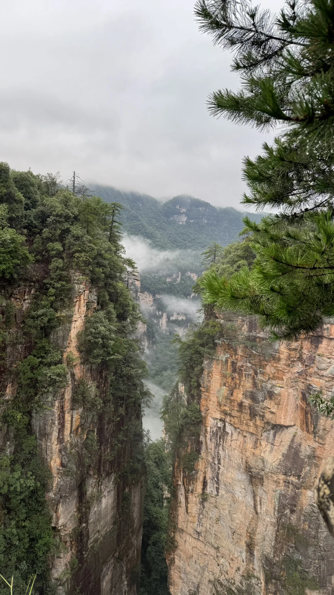 9.15实况 张家界国家森林公园