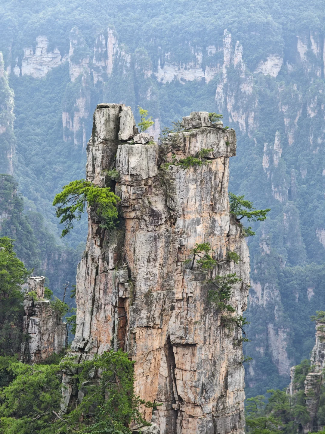 两日游玩张家界森林公园，反向拒绝人堵人