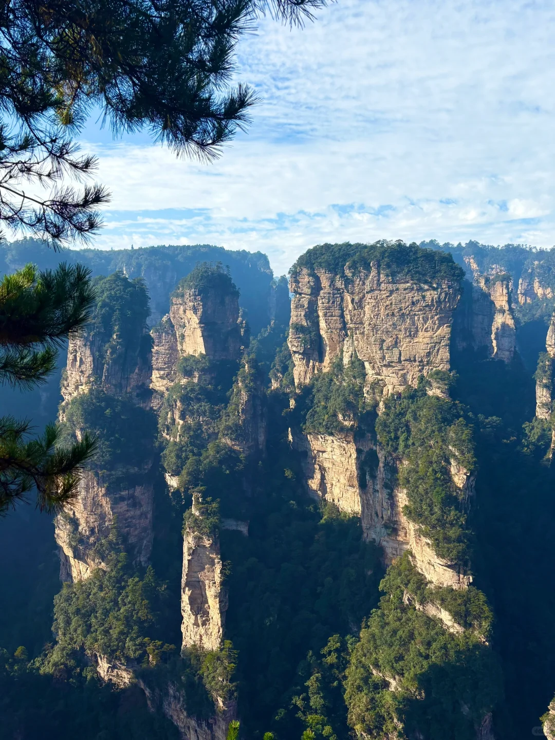 当你在张家界找了一个向导