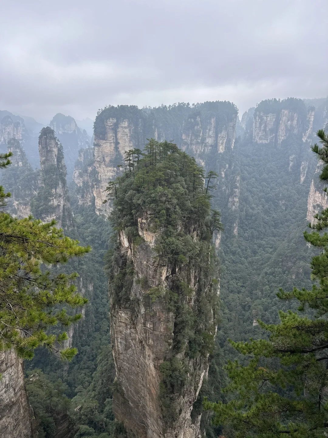 来到张家界，被挤到吵到还是能享受山的惊喜