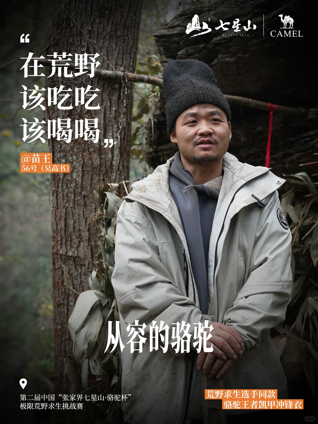 决赛将至，冠军花落谁家？