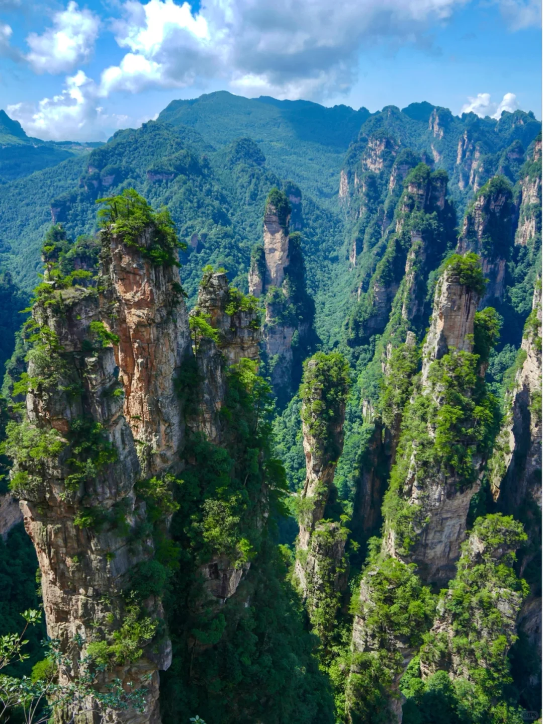 张家界4天3晚刚回！真心提醒还未出行的😓……