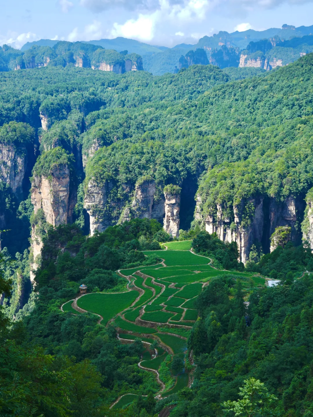 张家界4天3晚刚回！真心提醒还未出行的😓……