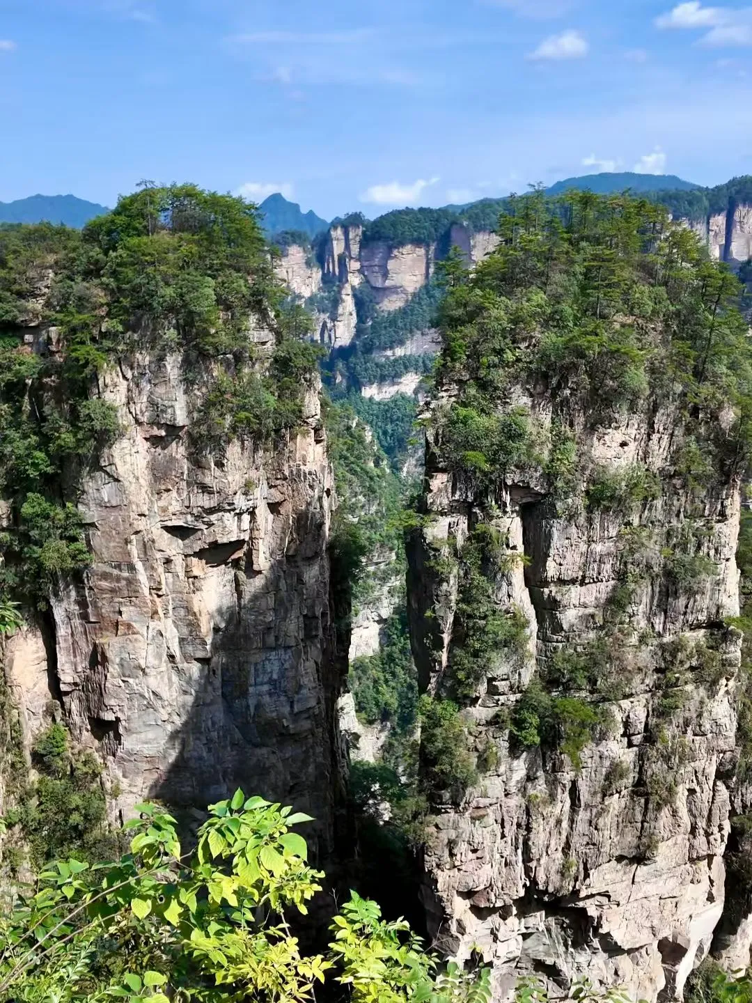 去了张家界武陵源，感觉其他山就不想去了