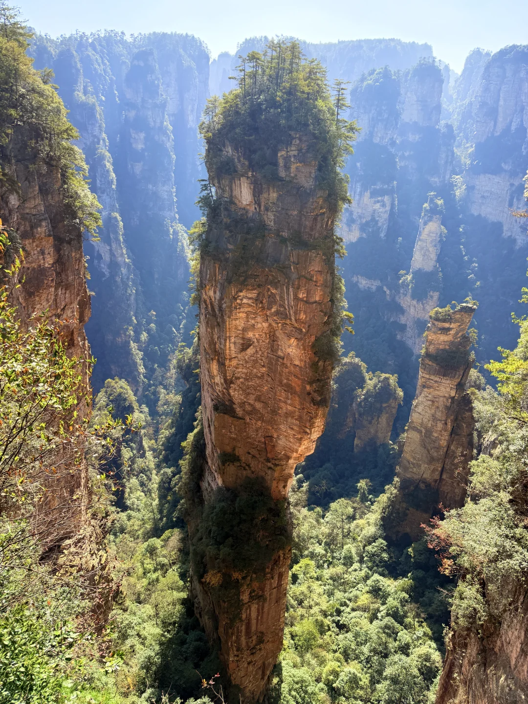 张家界国家森林公园⛰️阿凡达取景地
